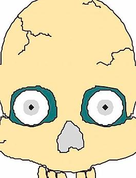 骷髏