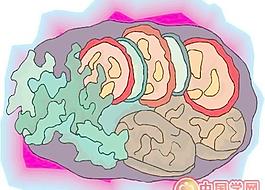 烤雞烤鴨火腿雞腿