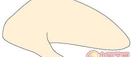 火腿雞腿烤雞烤鴨