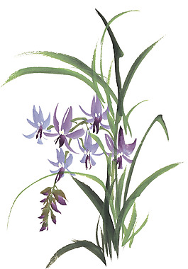位圖 植物 花朵 水彩 色彩 免費(fèi)素材