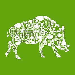印花矢量图 T恤图案 符号 野猪 色彩 免费素材