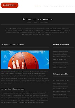 籃球運動信息網(wǎng)頁模板