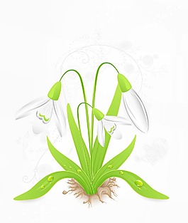 花卉背景矢量插畫