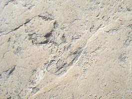 hard_rock_background