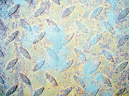 diamond_plate_ - _grunge_texture