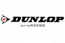 dunlop 鄧祿普輪胎