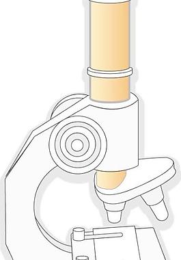 電腦配件顯示器