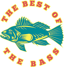 鱸魚(yú)最好的低音