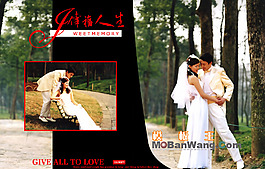 婚礼主题_婚纱相册模板