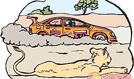 賽車跑車
