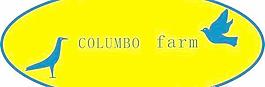 columbo