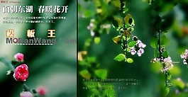 歡迎春天主題網(wǎng)頁模板