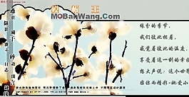 個人主頁網站模板