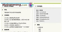藍(lán)綠二列個人簡歷模板