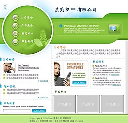 綠色公司商務(wù)網(wǎng)頁模板
