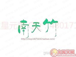 南天竹