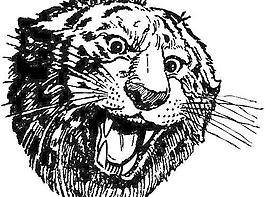 小丑卡通漫画