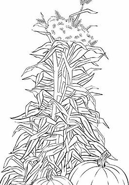 鄉(xiāng)村景象