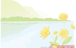 韓國風(fēng)景矢量圖