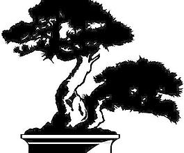 古代建筑