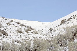 雪山的照片