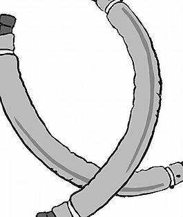 體育插畫