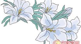 矢量鮮花