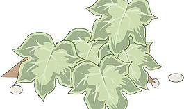花草葉子樹葉