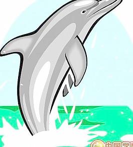 海洋生物