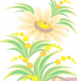 牡丹玫瑰菊花