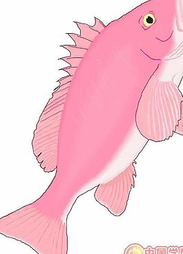 海洋生物