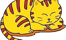 野生動物