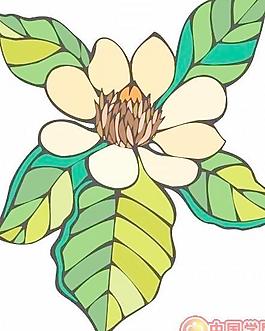牡丹玫瑰菊花
