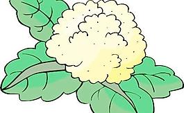矢量水果卡通