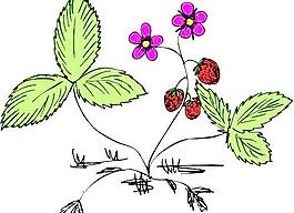 卡通矢量鮮花