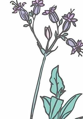 卡通矢量鮮花