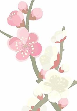牡丹玫瑰菊花