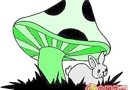牡丹玫瑰菊花