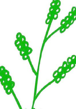 葉子樹葉花草