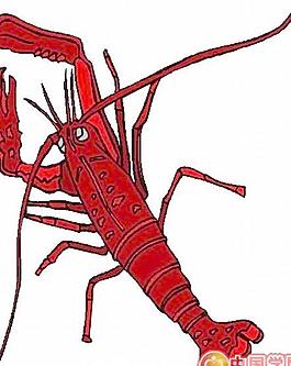 海洋生物