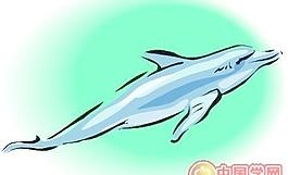 海洋生物