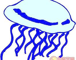 海洋生物