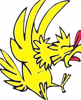 老鷹鴿子鳥類