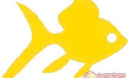 魚矢量圖