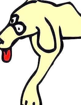 野生動物