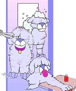 野生動物