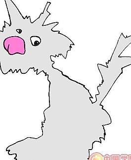 野生動物