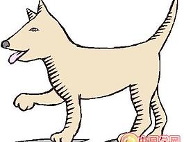 野生動物