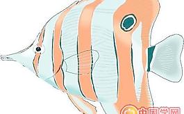 海洋生物