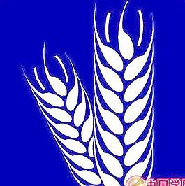 農(nóng)業(yè)莊稼農(nóng)田